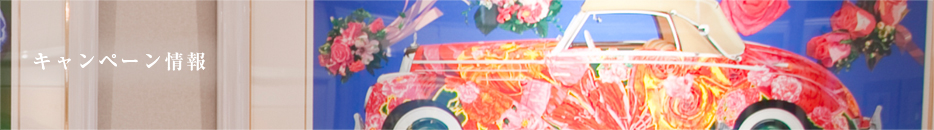 キャンペーン情報