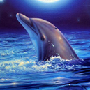 クリスチャン・ラッセン